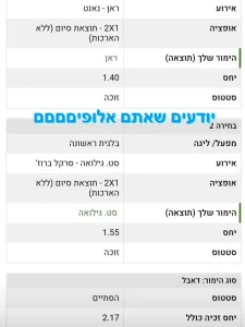 זכייה בווינר