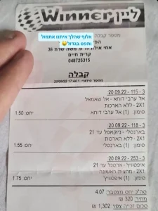 זכייה בווינר